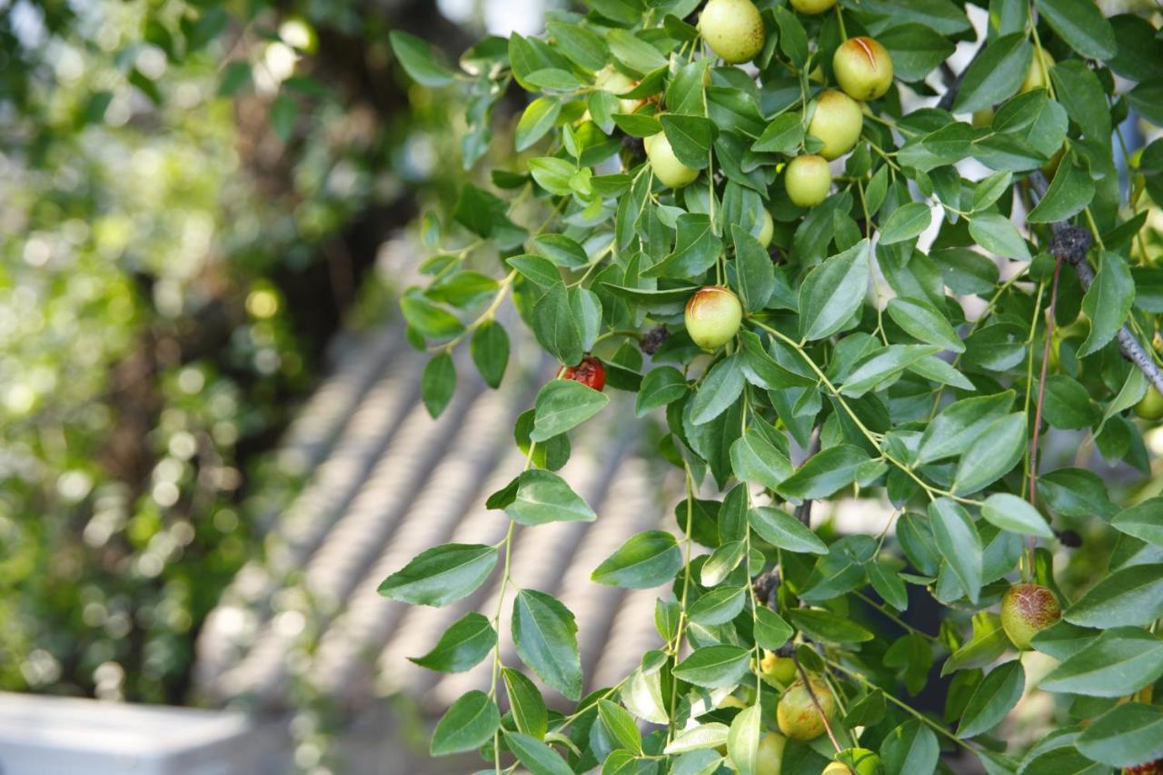Beijing Yue Bin Ge Courtyard Hotel Exterior foto